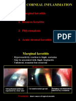 13 Peripheral Corneal Inflam
