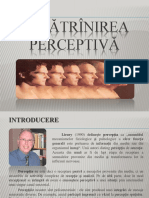 imbatrinirea perceptiva