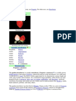 Fragaria × Ananassa: Strawberry