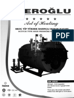 Eroglu - Steam Boiler