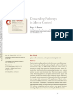 Lemon 2008 - Descending Pathways in Motor Control