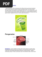 Download Puasa Dari Sudut Saintifik by shabihan SN38184764 doc pdf