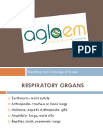 Class11th BREATHINGEXCHANGEOFGASES PDF