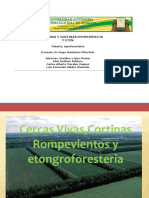 Diapositivas Piña.