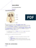 Aparato Excretor