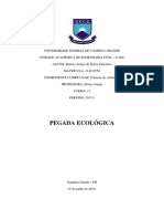 Pegada Ecológica: Análise do Estilo de Vida e Componentes