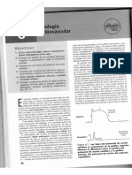 Physioex - Ejercicio 6 - Fisiología Cardiovascular