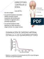 Sistema de Quimiorreceptores Periféricos para Controlar La Actividad