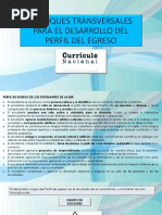 enfoques-transversales-autoguardado