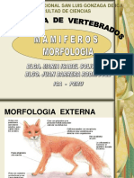 6 - MAMIFEROS-MORFOLOGIA Y CLASIFICACION.pdf