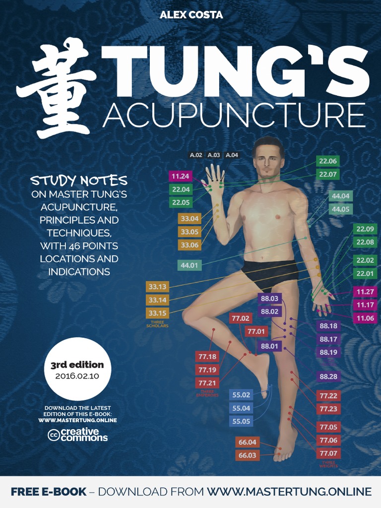 TUNGENv20160210.pdf Hand Acupuncture