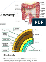 Lower GIT Anatomy: Sarvesswara BMS15091423