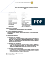 Informe Psicológico Mips 