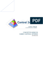 Conceptos Basicos de Control Interno PDF