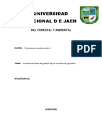 Informe Inventario Plantacion Huayabal