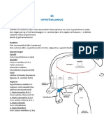 Hypothalamus Og Ventrikelsystemet