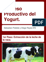 Yogurt Proceso Productivo Casero