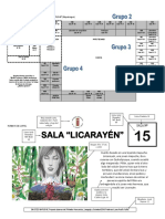 Bautizo Mapuche_mapa Colegio Pro