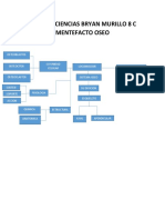 Mentefacto Oseo