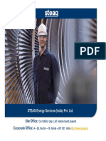 Generator Protection (Steag) PDF