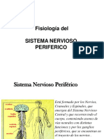 Sistema Nervioso Periférico: Funciones y División Anatómica y Funcional