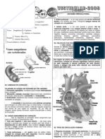 Sistema Circulatório