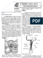 Aparelho Reprodutor Humano