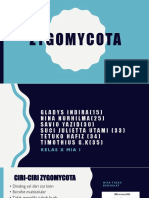 ZYGOMYCOTA PPT