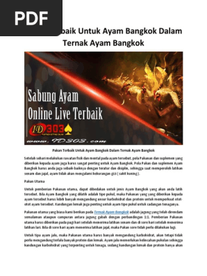 Pakan Terbaik Untuk Ayam Bangkok Dalam Ternak Ayam Bangkok