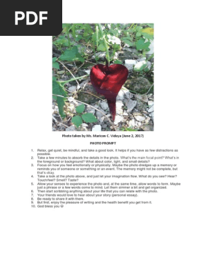 9 photo prompt.docx