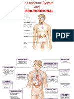 DR Tomy - Anatomi Organ Endokrin