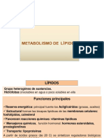 metabolismo de lipidos 