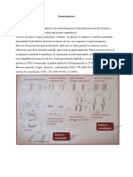 01. Scurt istoric. Gametogeneza. Ovulatie. Fecundatie. Nidatie. Placentatia. Fiziologia placentei.docx