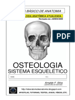 Apostila-Anatomia-Sistema-Esqueletico.pdf