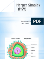 Virus Herpes Simplex