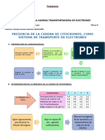 Flujograma XI