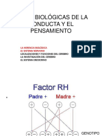  Bases Biológicas de La Conducta y El Pensamiento 1