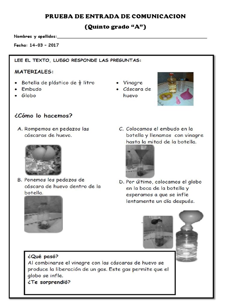 Prueba de Comunicación Quinto Grado | PDF | Crecimiento personal y ...