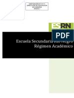 Disposicion 1-2017 (Régimen Académico ESRN )