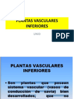 clase 4 - PLANTAS VASCULARES INFERIORES- unid 2014-I.pdf