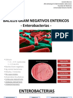 Clase 14. Bacilos Gram Negativos Entericos PDF