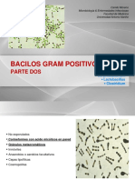 Clase 9. Bacilos Gram Positivos II