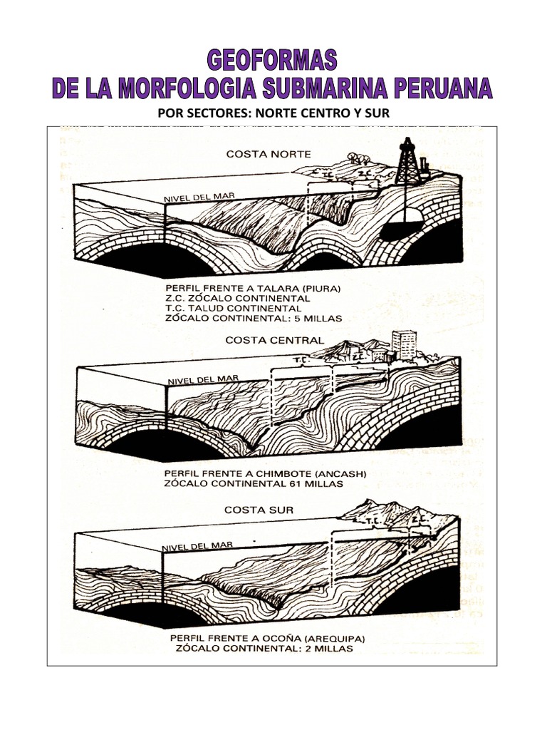 2. Geoformas.doc | Andes | Geomorfología