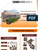 Diversificacion Curricular Uno