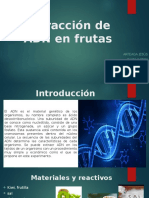 Extracción de ADN en Frutas