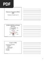 4ª Aula - Biologia Molecular