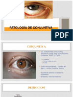 05 - patologia de conjuntiva.pdf