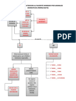 Flujograma de Atencion Al Paciente Mordido Por Animales Domesticos