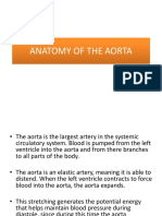 Anatomy of The Aorta