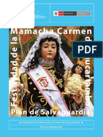 Virgen Del Carmen de Paucartambo - Plan de Salvaguardia